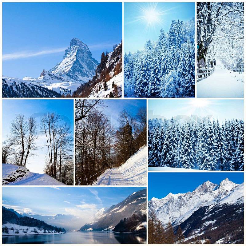 Winter collage. collection of cold weather landscapes with mountains. Trees covered with snow, stock photo