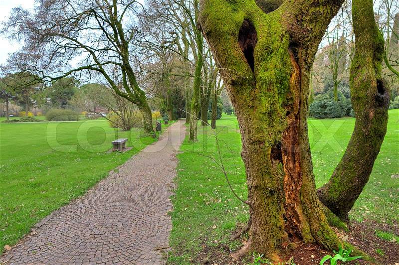 Old tree trunk covered with green moss and narrow walkway among green meadows in botanical park Sigurta in Italy, stock photo