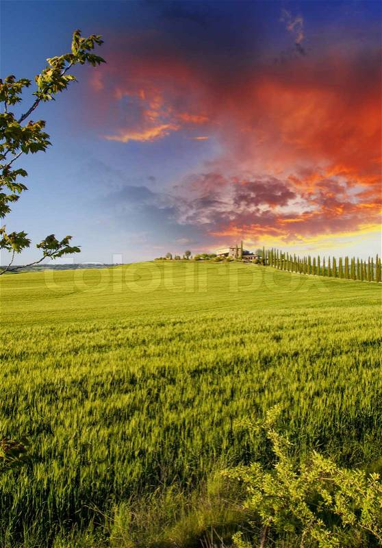 Landscape and Meadows of Tuscany, Spring Season, stock photo