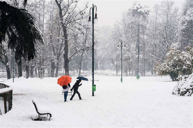 People with umbrella in winter snowy landscape with trees, stock photo