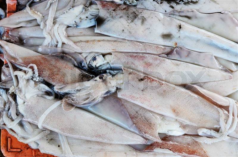 Close up of fresh squid in market at pier, stock photo