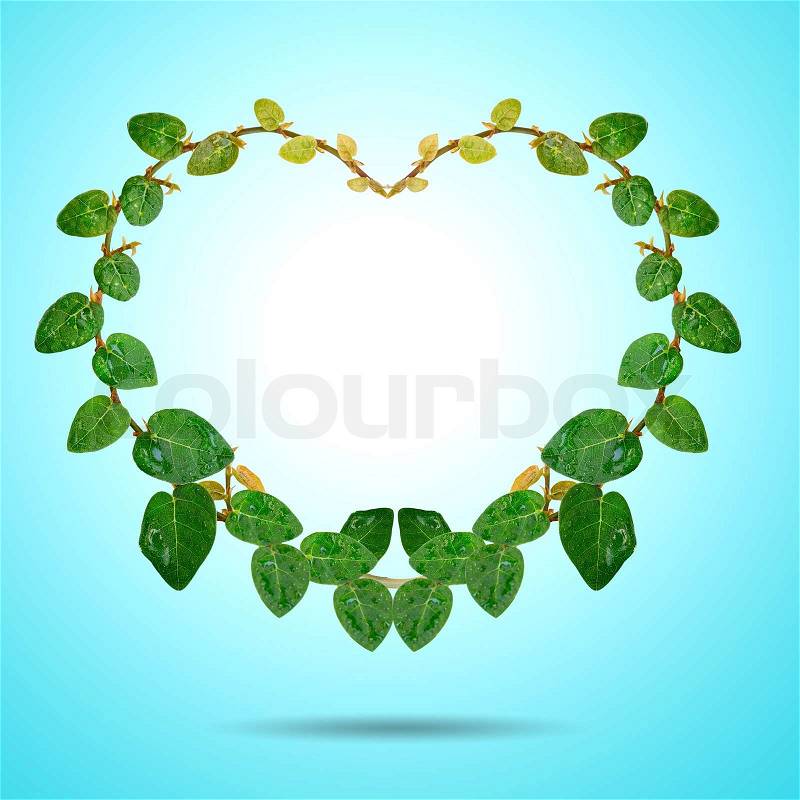 Plant make heart shape in love concept, stock photo