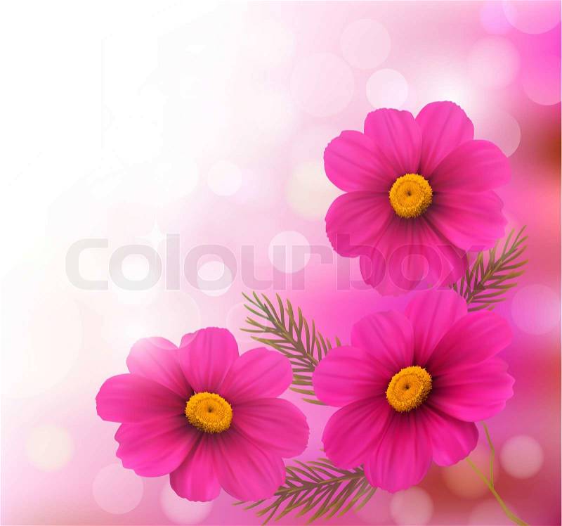 Holiday background with three pink flowers.Vector illustration, stock photo