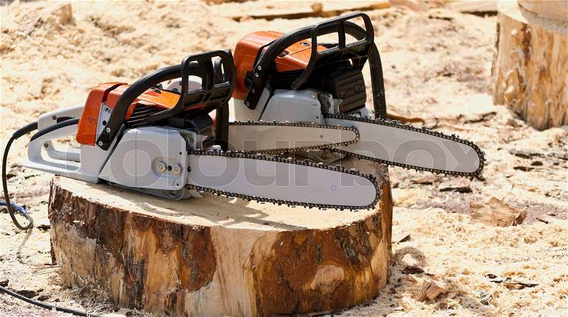 Chain saws for working with wood on a freshly felled tree stump, stock photo
