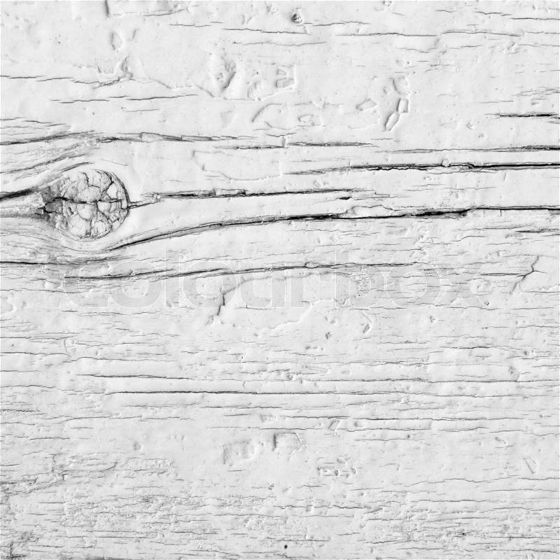 Branch close-up on a white rustic wall. Weathered wood with white enamel, stock photo