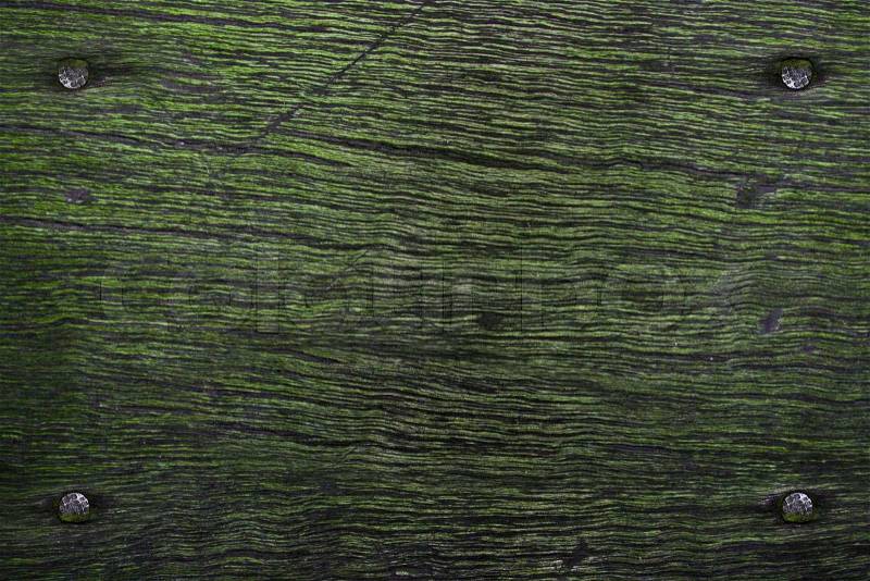 Nails in wood with fake moss, stock photo