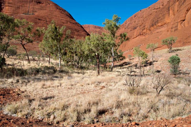 Colors of Australian Outback during Winter Season, Northern Territory, Australia, stock photo