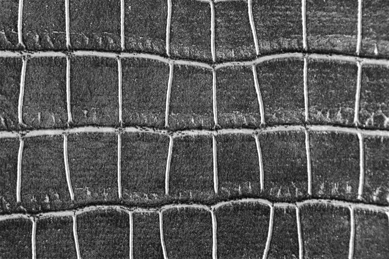 Black crocodile skin texture as a wallpaper, stock photo