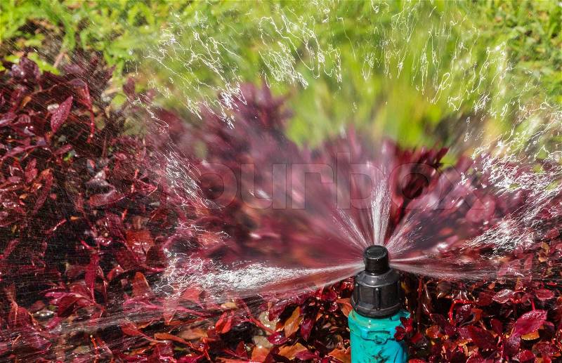 Sprinkler Head showing Radius of Water Droplets for Bush and Lawn Watering, stock photo