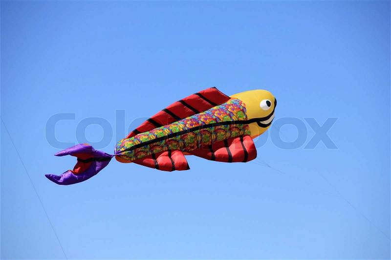 Flying fish, stock photo