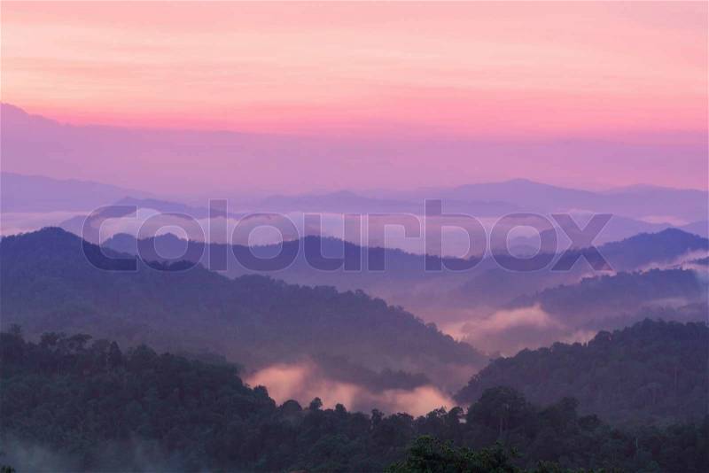 Beautiful twilight landscape in rain forest, Thailand, stock photo