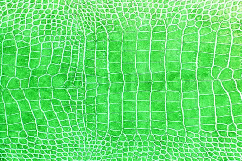 Green crocodile skin texture as a wallpaper, stock photo