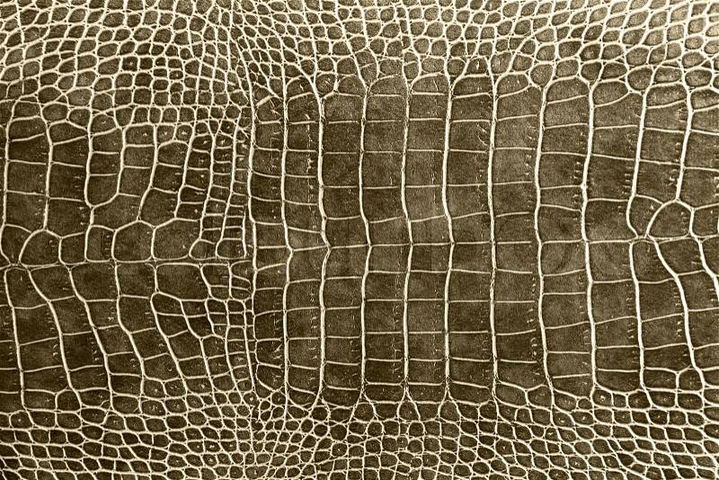 Tint brown crocodile skin texture as a wallpaper, stock photo