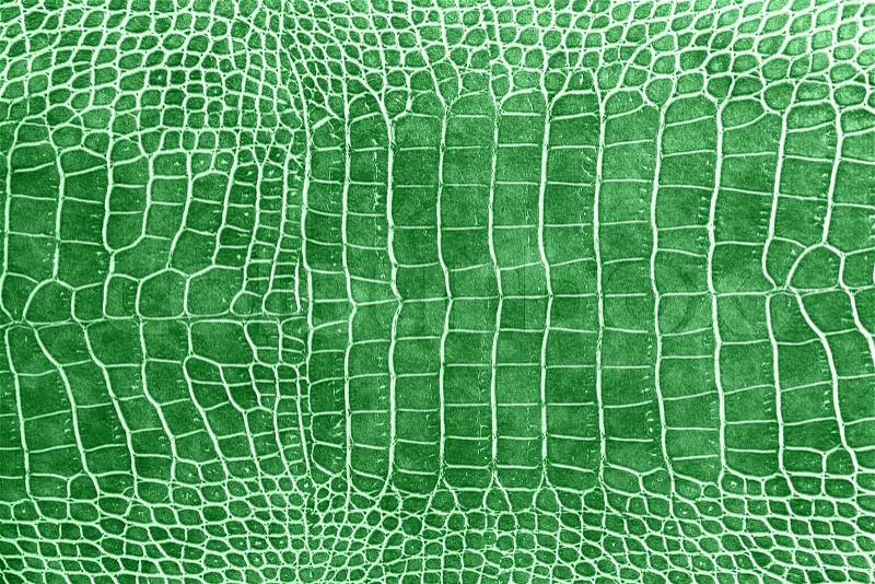 Dark green crocodile skin texture as a wallpaper, stock photo