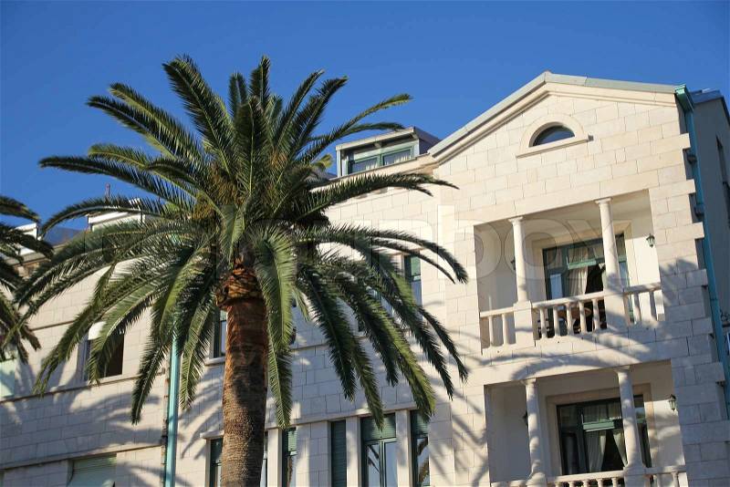 Green palm and white hotel over blue sky, stock photo