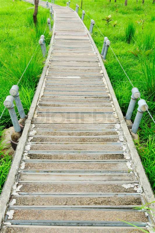 Wooden path walkway through tropical green field, stock photo