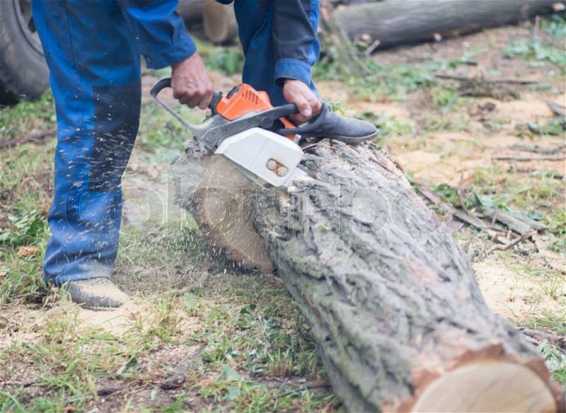 Man sawing wood, stock photo