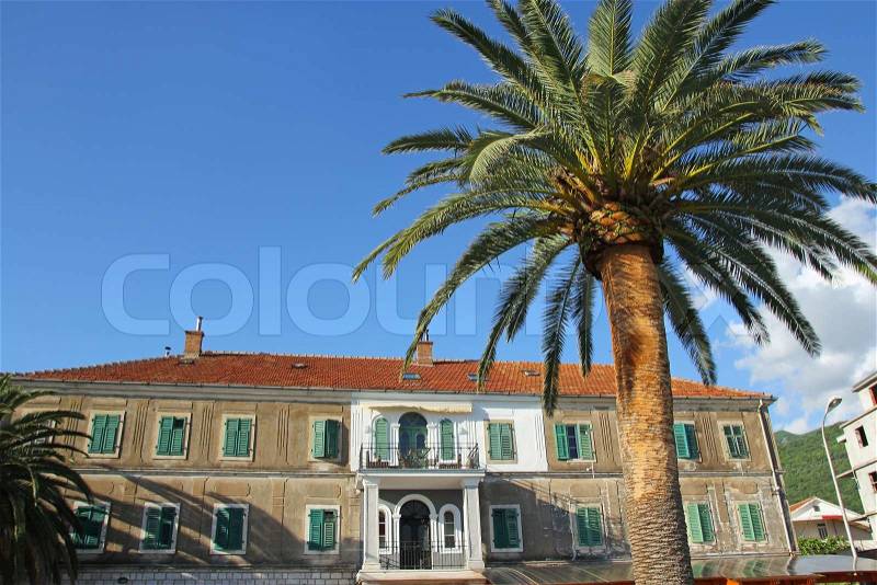 Big green palm and hotel over blue sky, stock photo