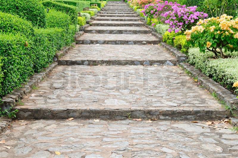 Stone pathway pass through a garden, stock photo