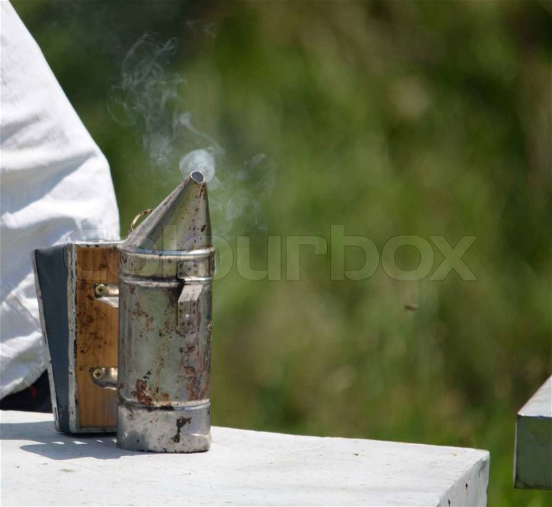 Bee smoker, stock photo