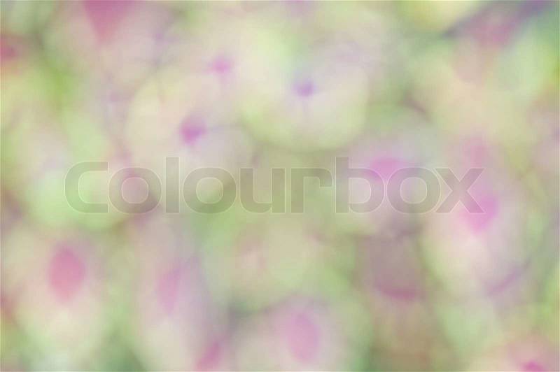 Defocus of green and violet light, stock photo