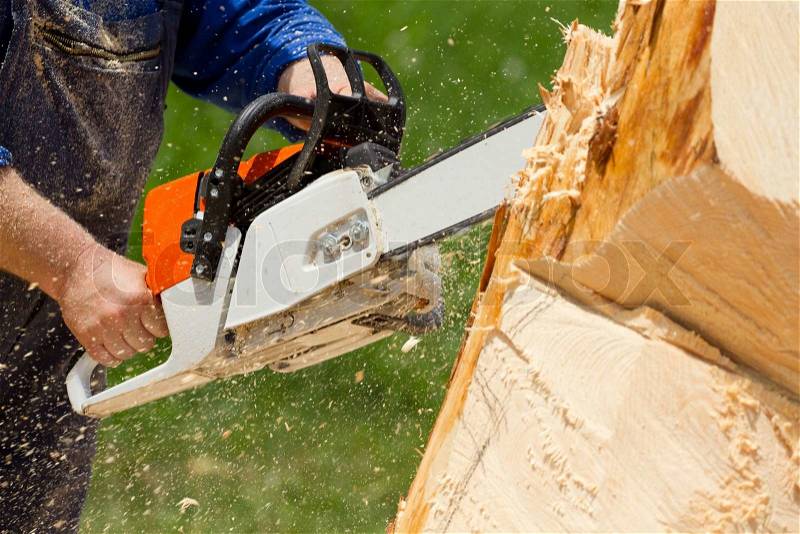 Man with chainsaw cutting the tree, stock photo