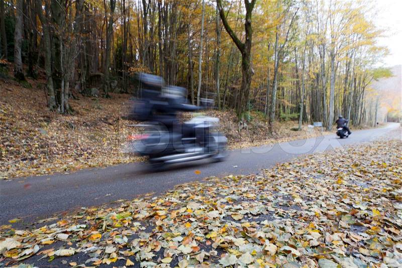 Moving motorbike on a highway in a forest, stock photo