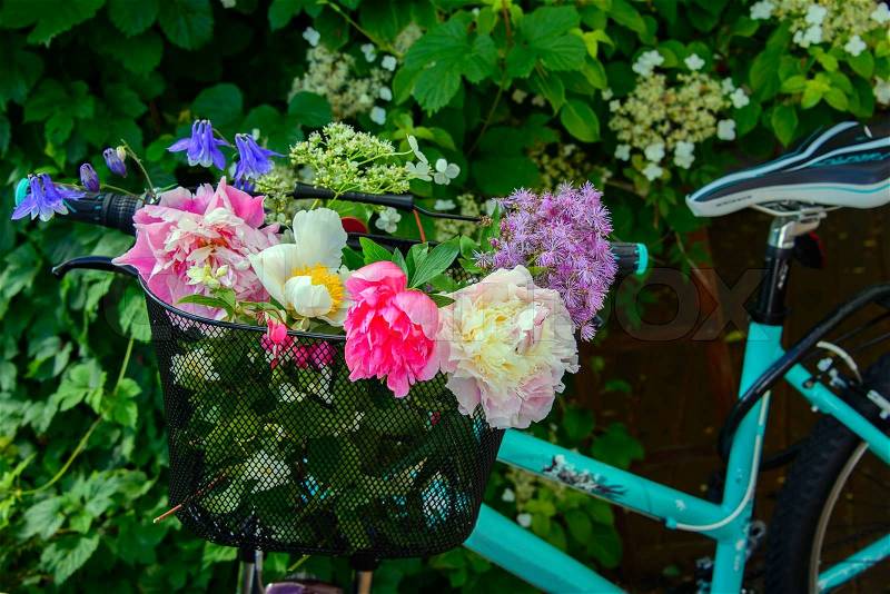 A bicycle with a basket filled with summer flowers from a garden, stock photo
