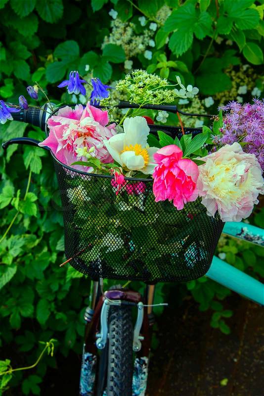 Bicycle with a basket of summer flowers, stock photo