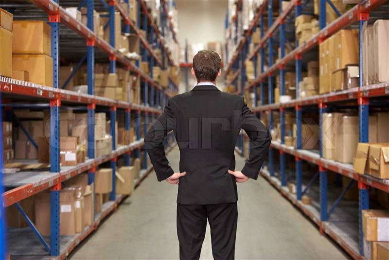 Rear View Of Manager In Warehouse, stock photo