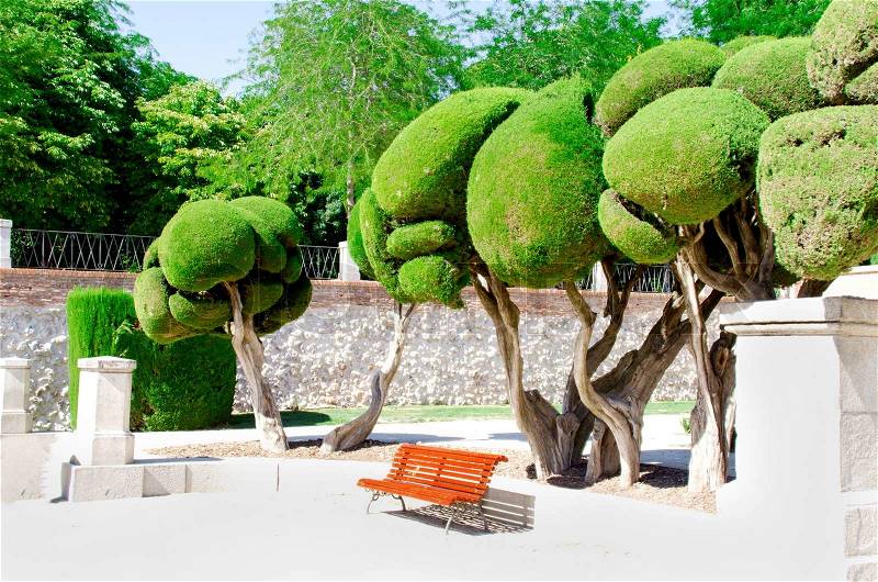 Trees and bench at park of the Pleasant Retreat in Madrid Spain, stock photo
