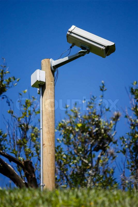 Cam Tree for Country Safety, stock photo