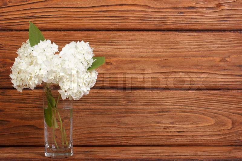 Bouquet of white hydrangea in a vase, stock photo