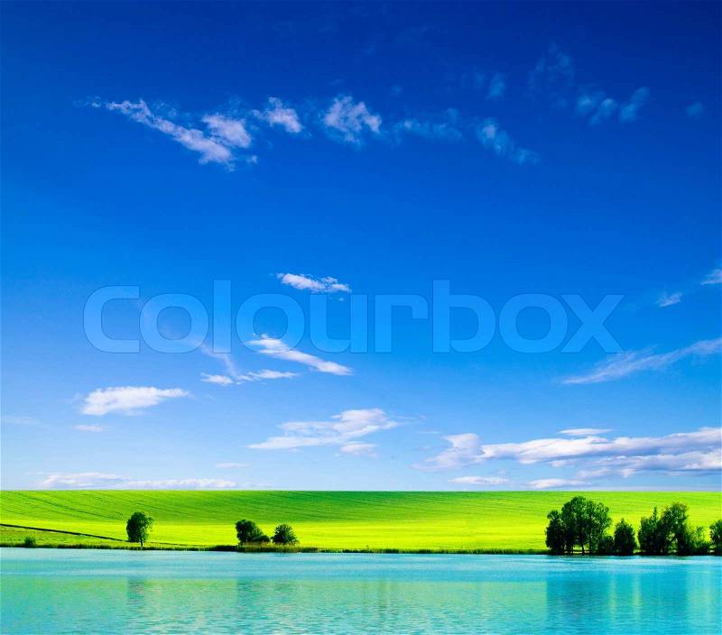 Green field, stock photo