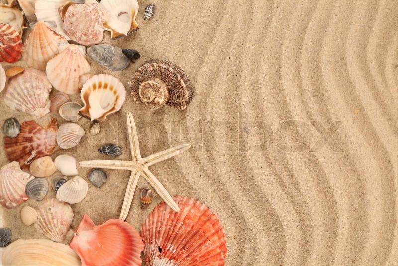 Background of sand, shells and sea start, stock photo