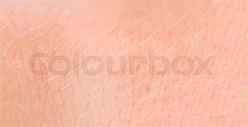 Skin human texture. Hair. Close up. Pink, stock photo