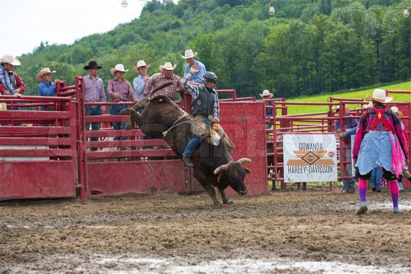 Ellicottville, NY – July 7: A cowboy rides a bucking bull in the bull riding competition at the Ellicottville Championship Rodeo on July 7, 2013 in Ellicottville, New York. , stock photo