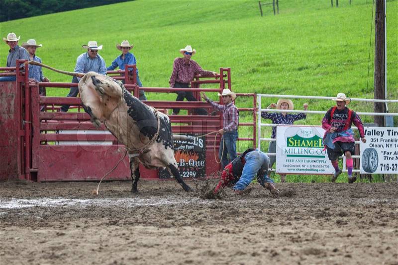 Ellicottville, NY – July 7: A cowboy rides a bucking bull in the bull riding competition at the Ellicottville Championship Rodeo on July 7, 2013 in Ellicottville, New York. , stock photo