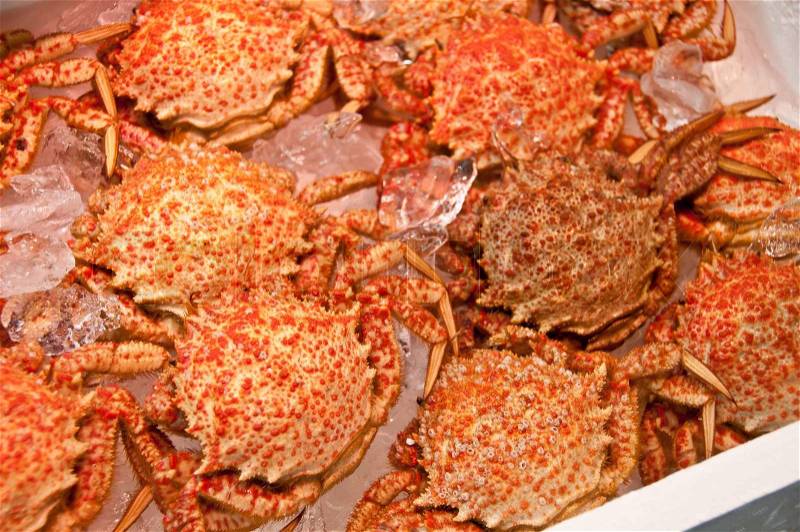 Japanese hairy crabs at the market, stock photo