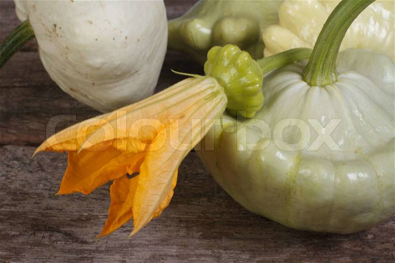 Ripe pattypan squash vegetables with yellow flowers. closeup, stock photo