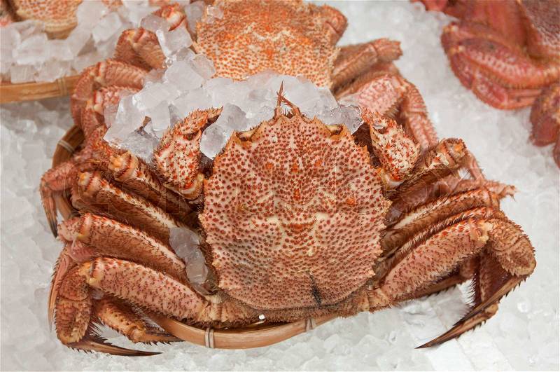 Japanese hairy crab at the market, stock photo