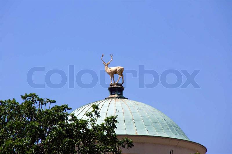 The art building at the Schlossplatz in Stuttgart. This striking building with its large dome was erichtet 1913 by architect Theodor Fischer is timeless and elegant. The dome is crowned by a gilded deer of the sculptor Ludwig Habich. The deer is the heral