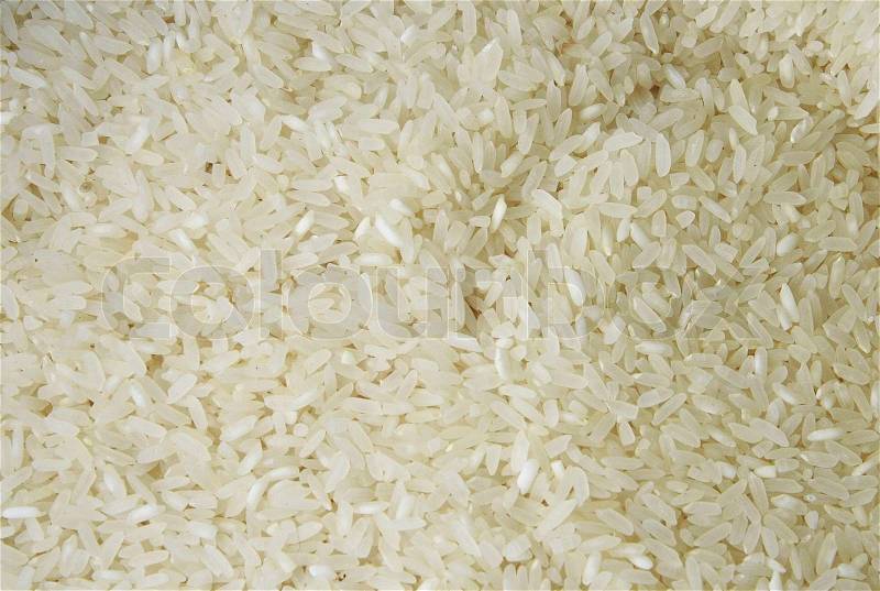 Raw rice, Thailand , stock photo