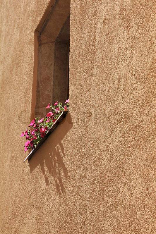 Blooming pink flowers in window box on the painted wall of the house in the beautiful summer, stock photo
