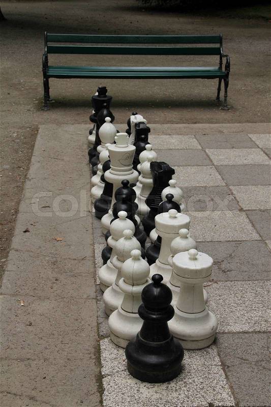 Playing chess in the park in the summer, stock photo