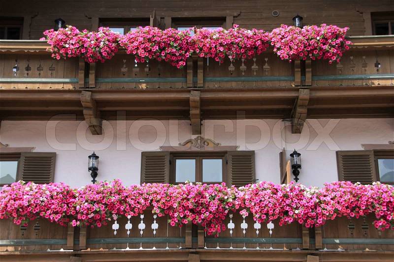 Many pink blooming flowers on the balcony in flower boxes of the house in the wonderful summer, stock photo