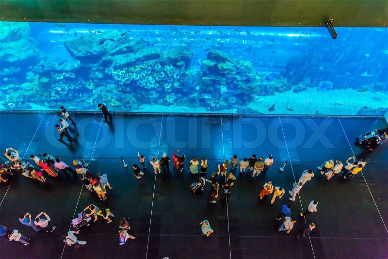 DUBAI, UAE - NOVEMBER 14: Aquarium in Dubai Mall - world\'s largest shopping mall , Downtown Burj Dubai November 14, 2012 in Dubai, United Arab Emirates, stock photo