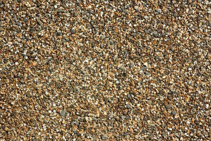 Fragment of beach pebble with small colored pebbles, stones and shells detail close-up in bright sunlight, stock photo