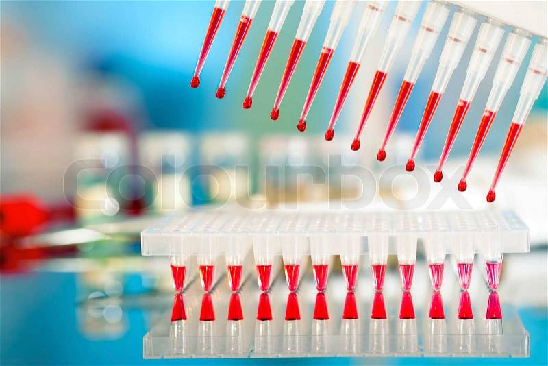 Tools for PCR amplification of DNA: 96-well plate and automatic pipette, stock photo