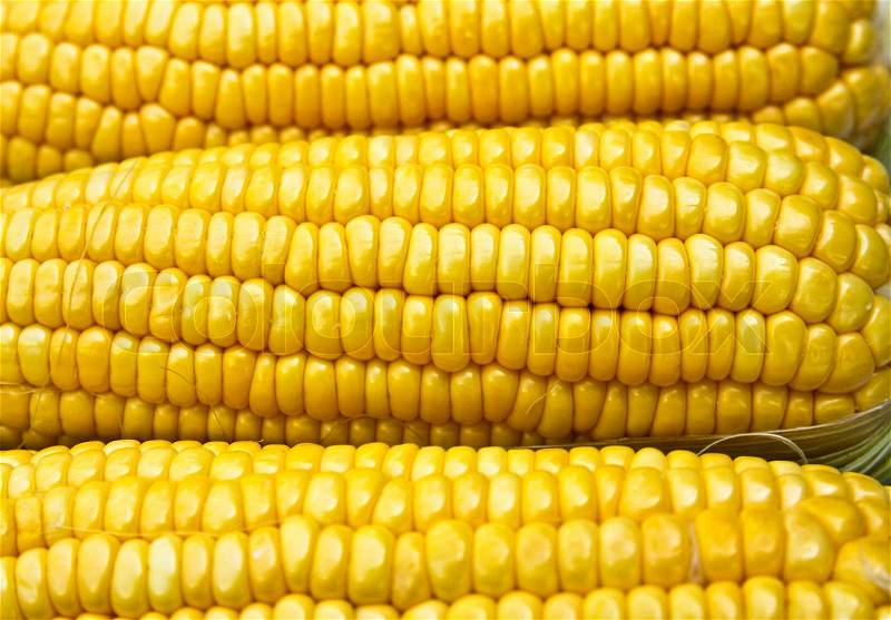 Bright color sweet corn, stock photo